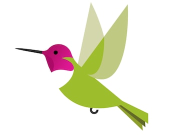 Anna's Hummingbird - Fine Art Print