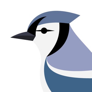 Blue Jay - Vivid Series - Fine Art Print