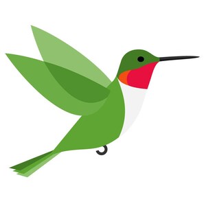 May include: A green and red ruby-throated hummingbird with a long beak is flying in mid-air. The bird has a white patch on its chest.