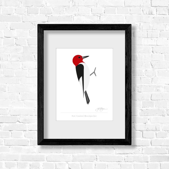 Red-headed Woodpecker - Fine Art Print - Etsy