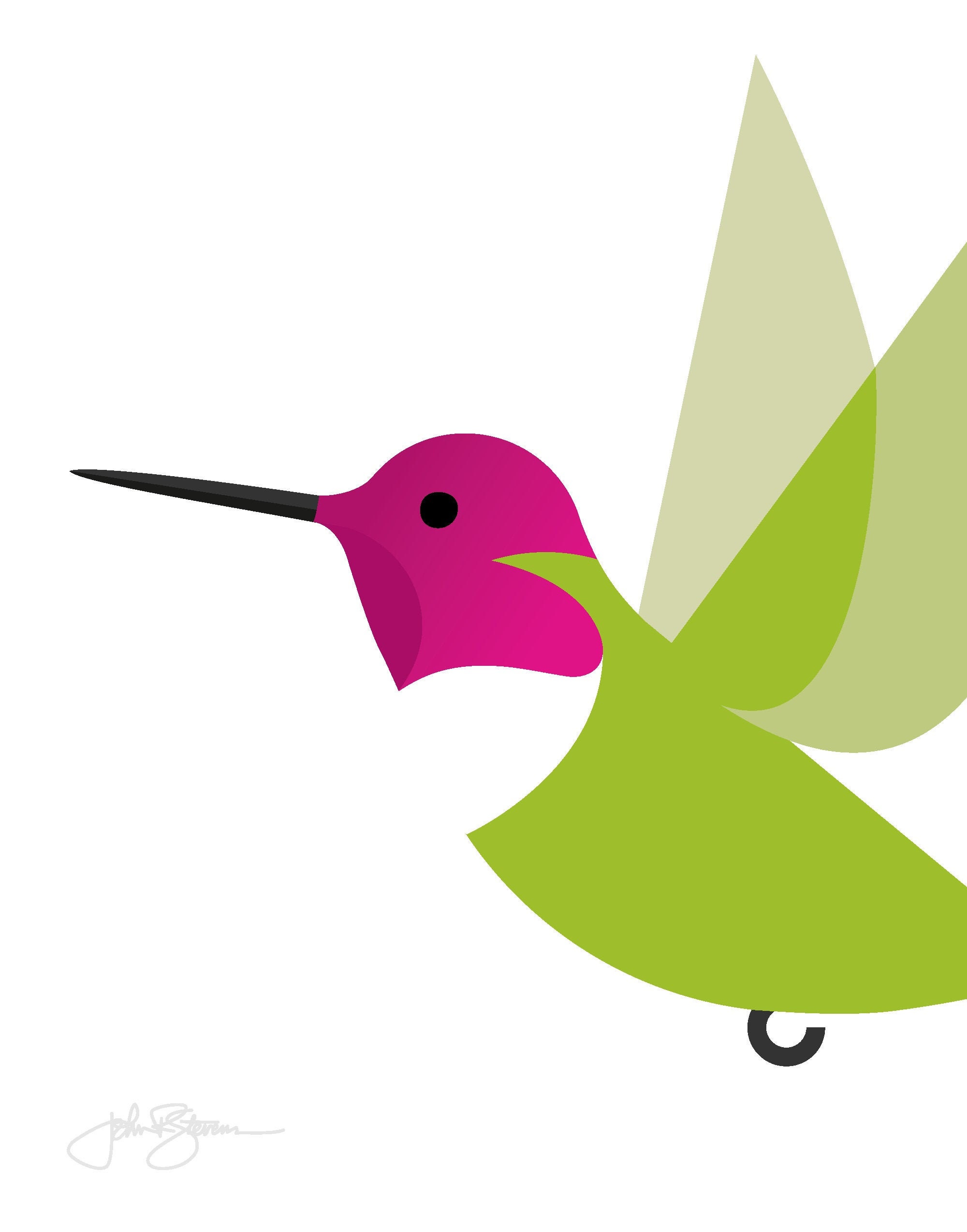 Anna's Hummingbird - Vivid Series - Fine Art Print