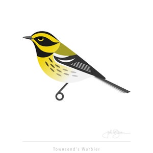 Townsend&#39;s Warbler - Fine Art Bird Print