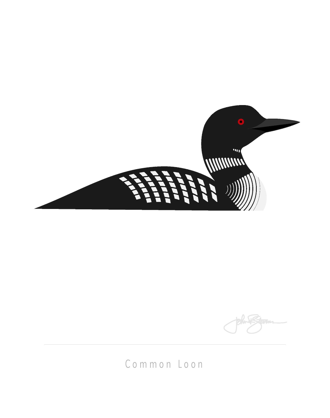 Common Loon - Fine Art Print - Etsy Israel