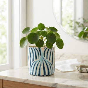 Könnte beinhalten: Eine Pilea peperomioides Pflanze mit runden, dunkelgrünen Blättern in einem zylindrischen Stoffübertopf. Der Übertopf zeigt ein sich wiederholendes Muster aus vertikalen dunkelblauen und hellblauen Streifen auf cremefarbenem Grund.