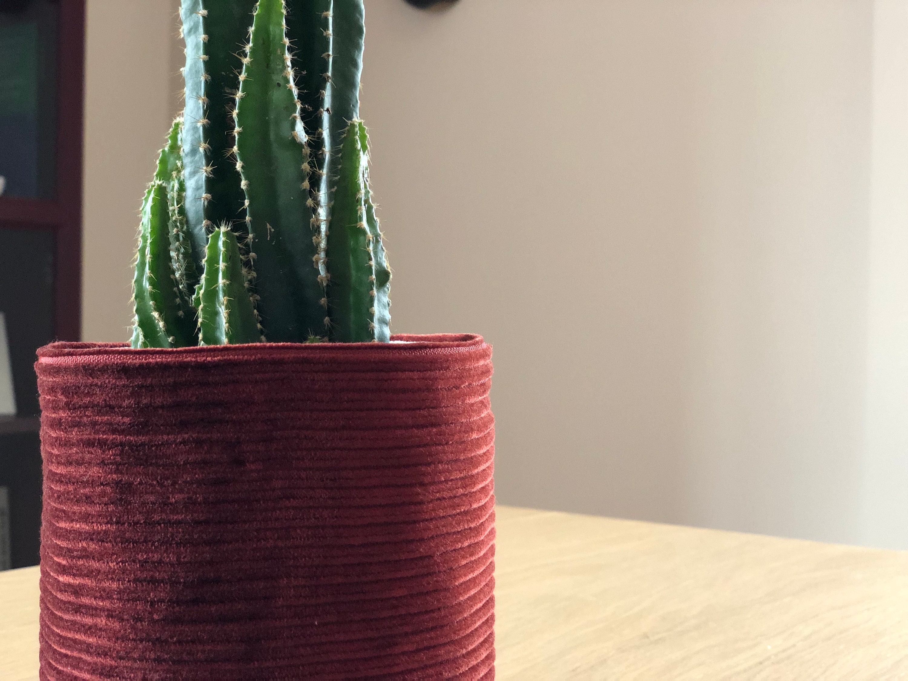 Cache-pot en tissu beige avec ruban – Élégant, lavable et fait main - France