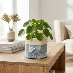 May include: A Pilea peperomioides plant in a fabric planter with a light blue base featuring a black fan-shaped line pattern and a solid cream-coloured top rim. The plant has round, dark green leaves and is positioned on a wooden surface.