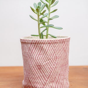 Puede incluir: Una pequeña planta suculenta en una maceta de tela con estampado rosa y blanco.