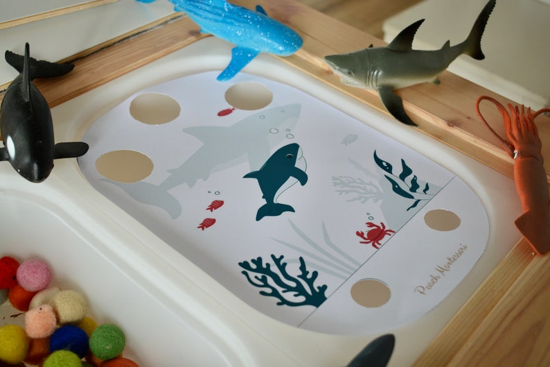 Flisat Insert Plaque Trofast REQUIN Fichier à Etsy