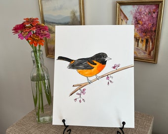 Baltimore Oriole Original Watercolor Wall Art Physical Print, 8x10 - Bird 1