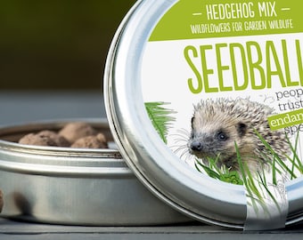 Hedgehog Friendly Wildflower Seeds