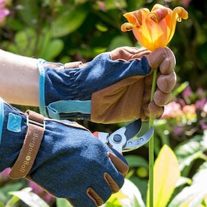 Burgon & Ball Women's Gardening Gloves: Durable, Stylish, M/L image 1
