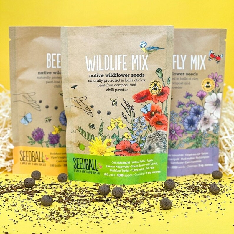 Wildflower Seeds for Bees Butterflies and Wildlife 300 Seed image 1