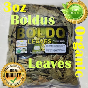 Boldo, Hojas de Boldo, Te de Boldo, Peumus boldus, Boldo Tea 3oz organic boldus !!!
