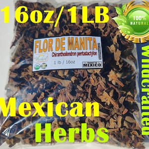 Flor de Manita, té de hierbas de flor de mano del diablo, Chiranthodendron pentadactylon, 16 oz