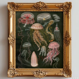 Vintage Jellyfish Art Print: Ernst Haeckel Marine Biology Illustration