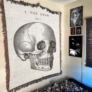May include: A black and white anatomical illustration of a human skull with numbered labels. The skull is on a white background with the text "1. THE HEAD. Fig. 1." at the top.