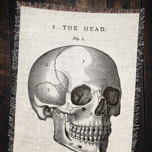 May include: A black and white anatomical illustration of a human skull with numbered labels. The skull is viewed from the side and shows the bones of the head and face. The text "1. THE HEAD. Fig. 1." is printed above the skull.