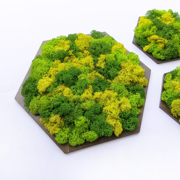 Mixed Moss 1 Panel, Honeycomb Wall Art, Plant Decor, Hexagon Wood Tile, Mix and Match