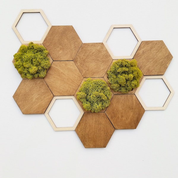 Moss Wall Art, ensemble de 14 panneaux hexagonaux, décoration verte pour la maison, carreaux de bois en nid d'abeille