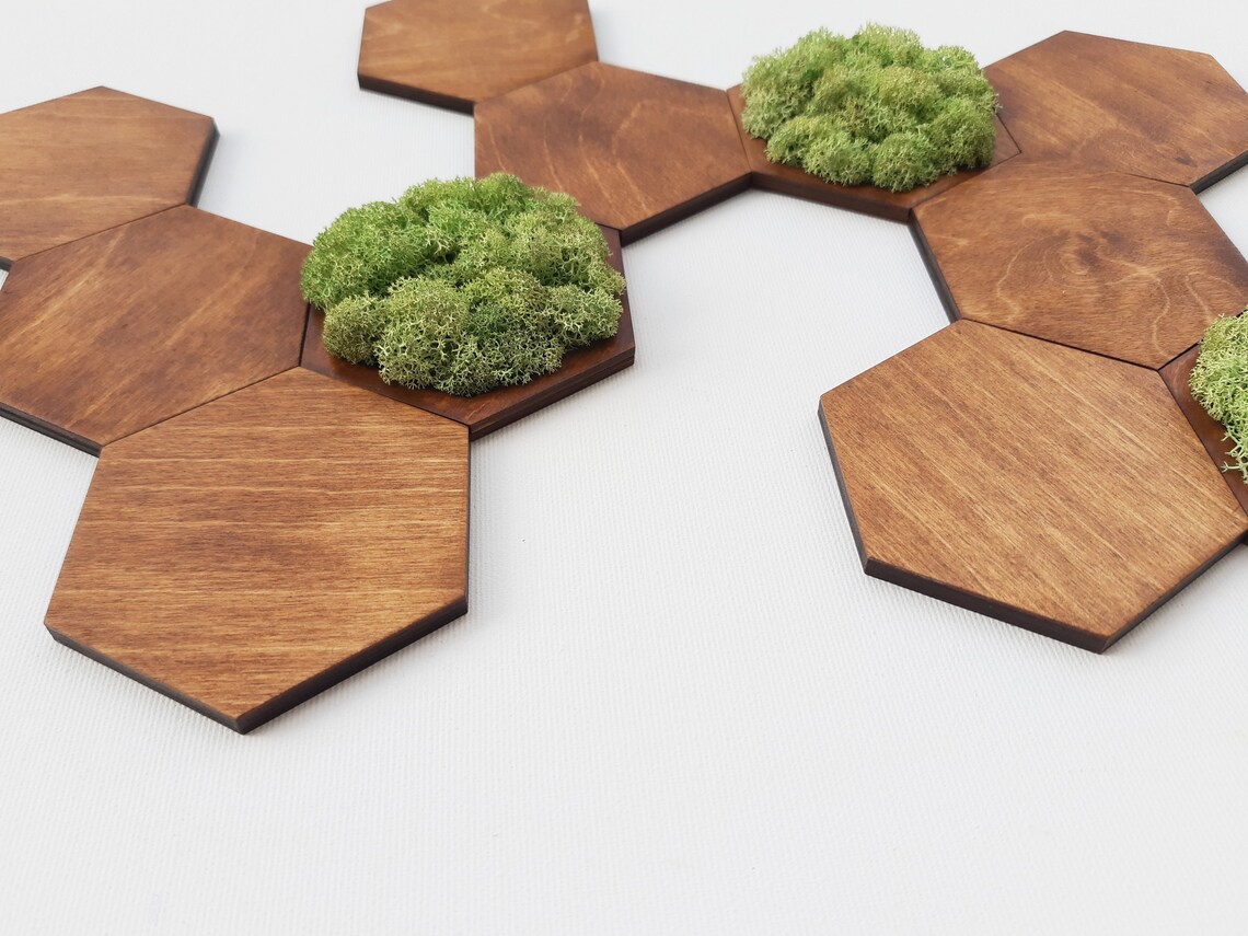 Hexagon Wood & Moss Wall Art Honeycomb Wall Decor 3D - Etsy