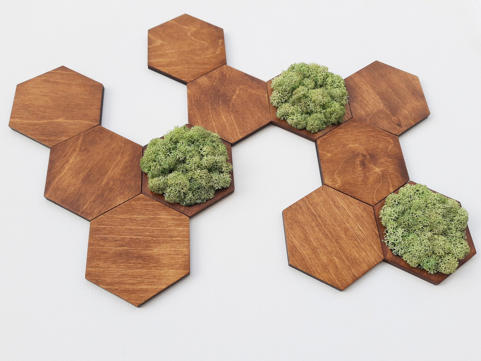 Hexagon Wood & Moss Wall Art Honeycomb Wall Decor 3D - Etsy