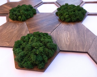 Hexagon Moss Wall Art, Dark Wood Decor, Geometric Tiles Set