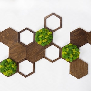 Mixed Moss Wall Art – Set of 14 3D Hexagon Panels, Preserved Moss & Wood Wall Decor, Biophilic Green Wall Tiles