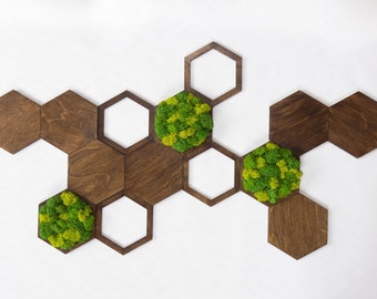 Mixed Moss Wall Art, 14 Wood Tiles, 3D Hexagon Panel