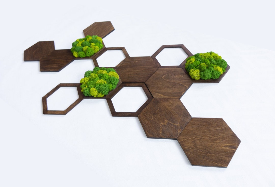 Hexagon Moss Wall Art Decor - 14 Piece Wood and Preserved Moss Tiles - Etsy