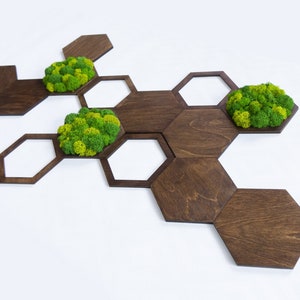 Hexagon-Moos-Wand-Kunst-Dekor - 14-teilige Holz- und konservierte Moosfliesen