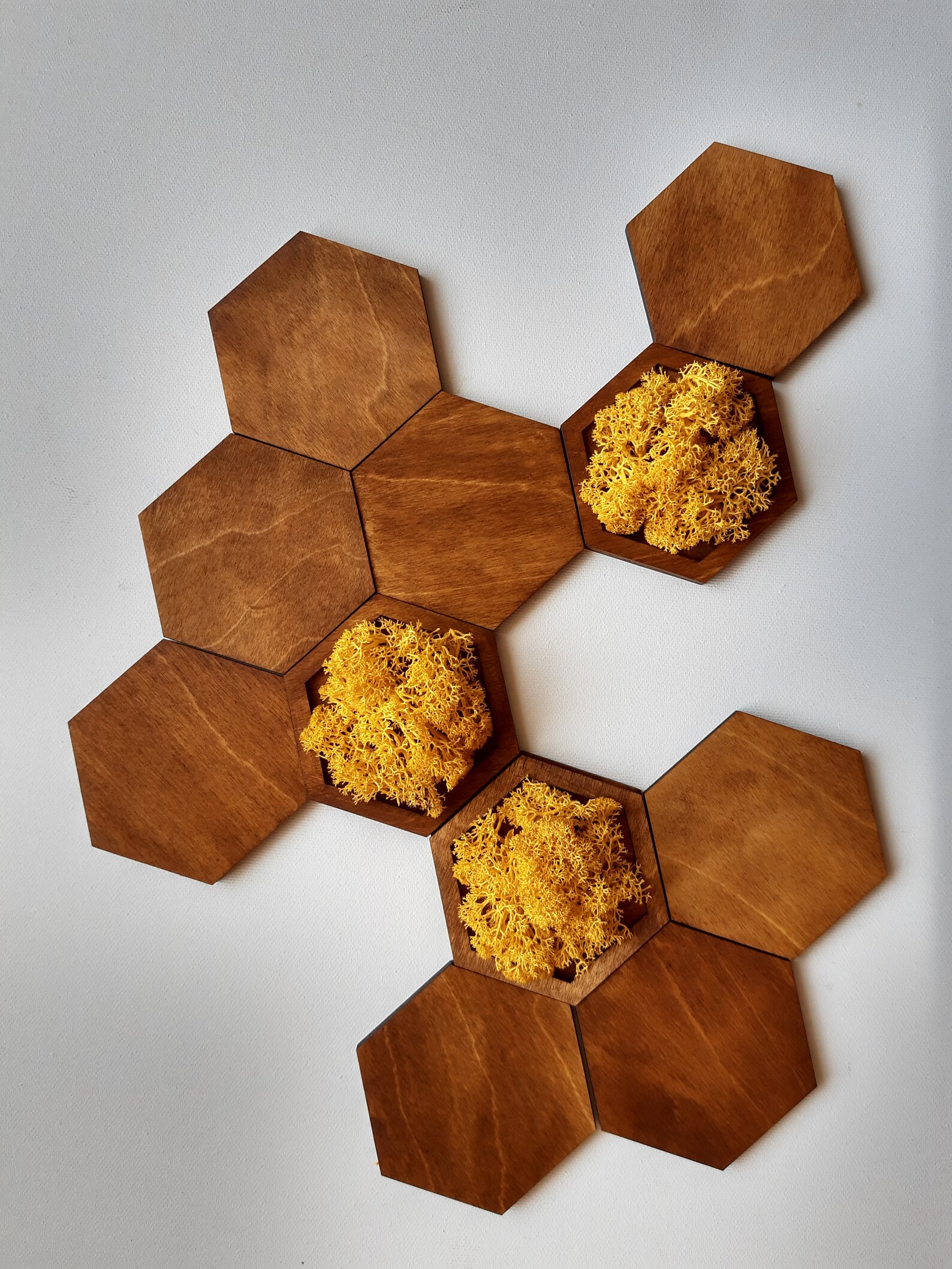 Hexagon Wood & Moss Wall Art Wall Decor 3D Etsy