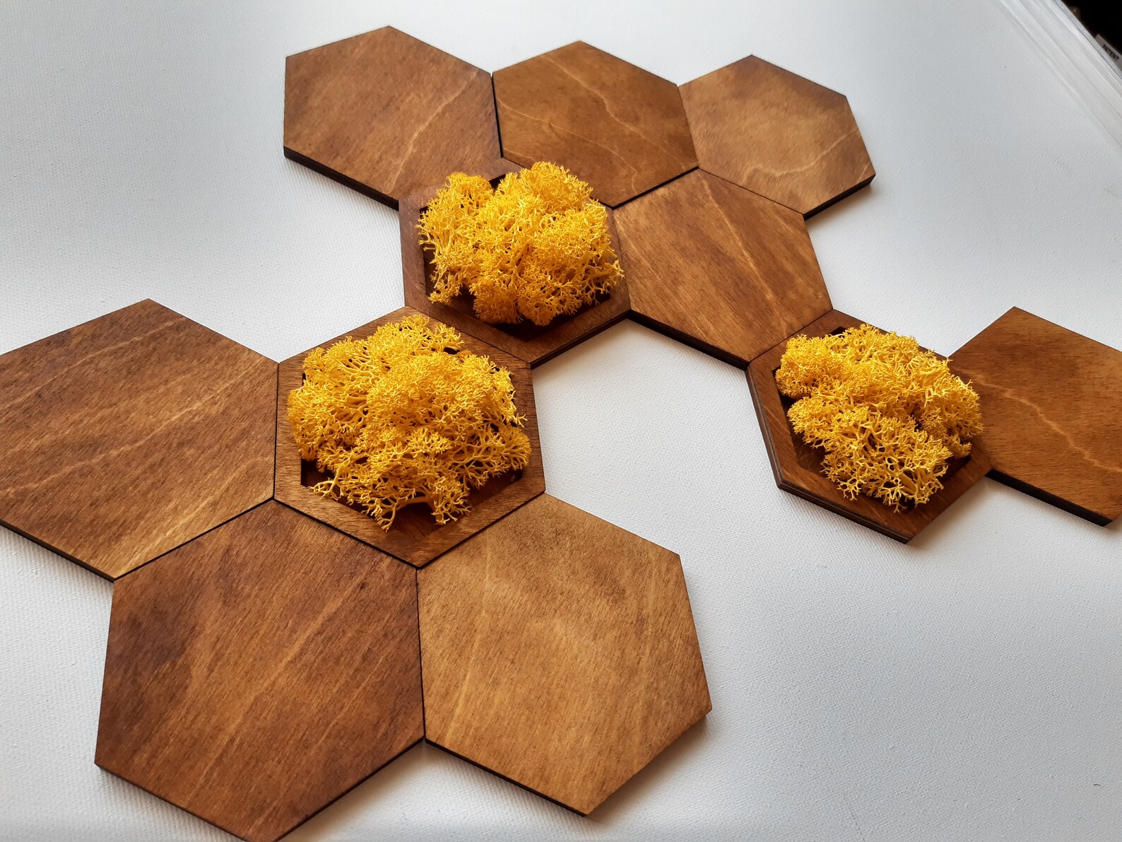 Hexagon Wood & Moss Wall Art Wall Decor 3D Etsy