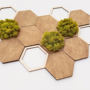 Op de afbeelding: Een houten zeshoekige wanddecoratie met drie groene mosvlekken in het midden. De zeshoekige vormen zijn gerangschikt in een honingraatpatroon.