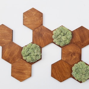 Hexagon Holz & Moos Wandkunst, Waben Wand Dekor, 3D Geometrische Wandplatte, Dekorative Hexagon Fliesen 11er Set, Farbe Nussbaum