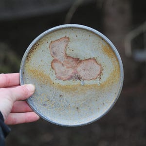 May include: A handmade ceramic plate with a rustic, organic design. The plate features a light gray base with a brown and yellow rim. A reddish-brown abstract shape is in the center. The plate is held by a hand.