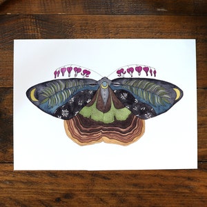 West Coast Moth Print / Illustration / 5x7 / 8x10 / 8.5x11