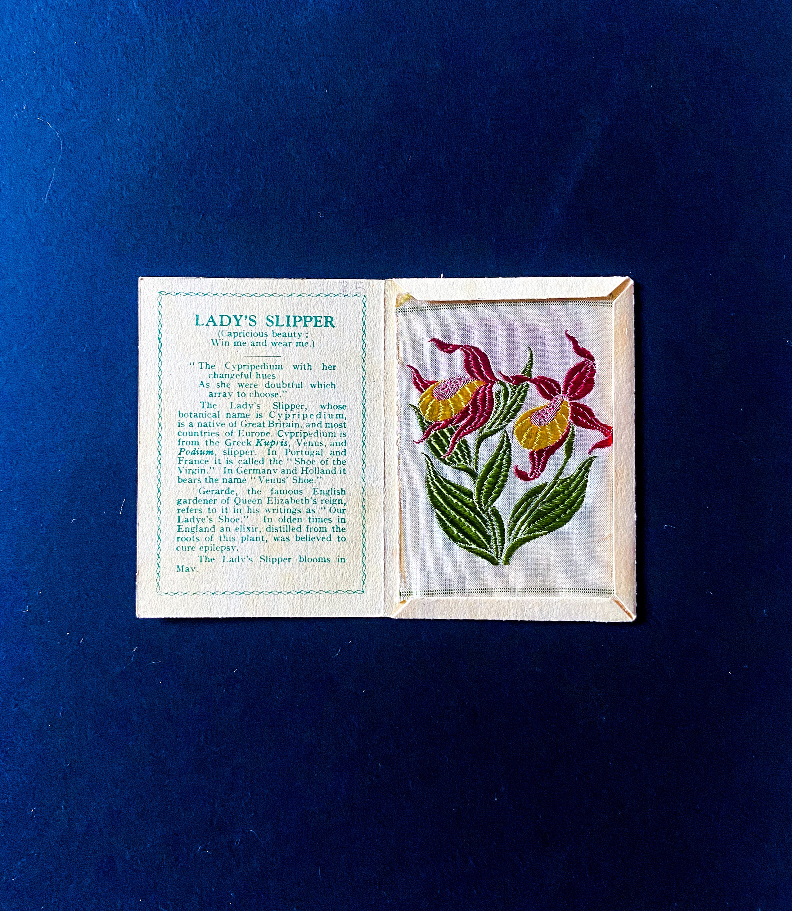 Cigarette Silk Card - Etsy Canada