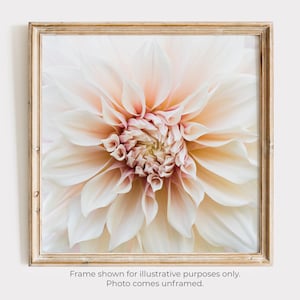 Cafe au Lait Dahlia | Floral Photography | Fine Art Photography Print | Botanical Wall Art | Home Decor