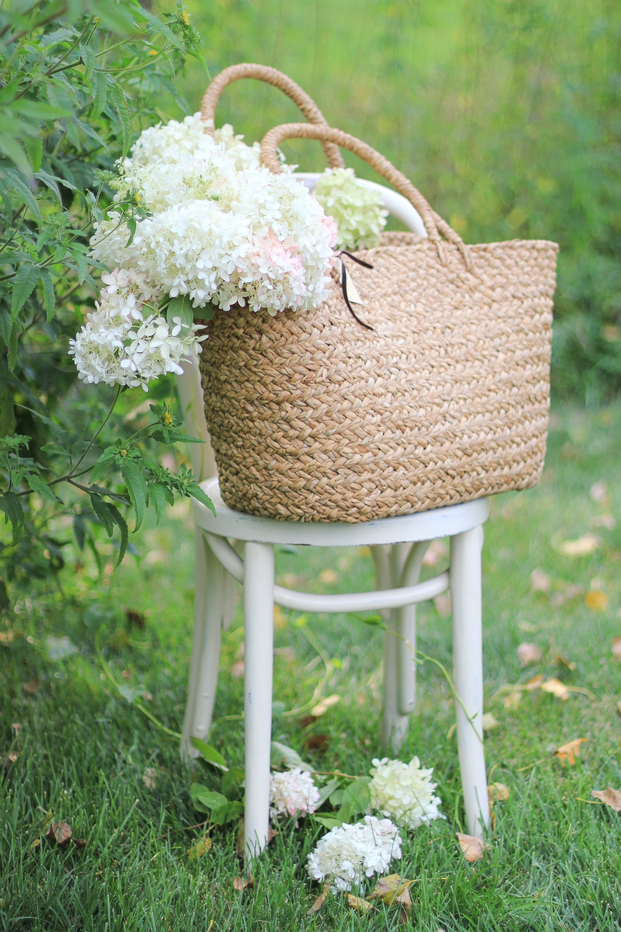 Script Flower Hydrangea Chair Hydrangea Chair | Floral Photography | Fine Art Photography Print ...