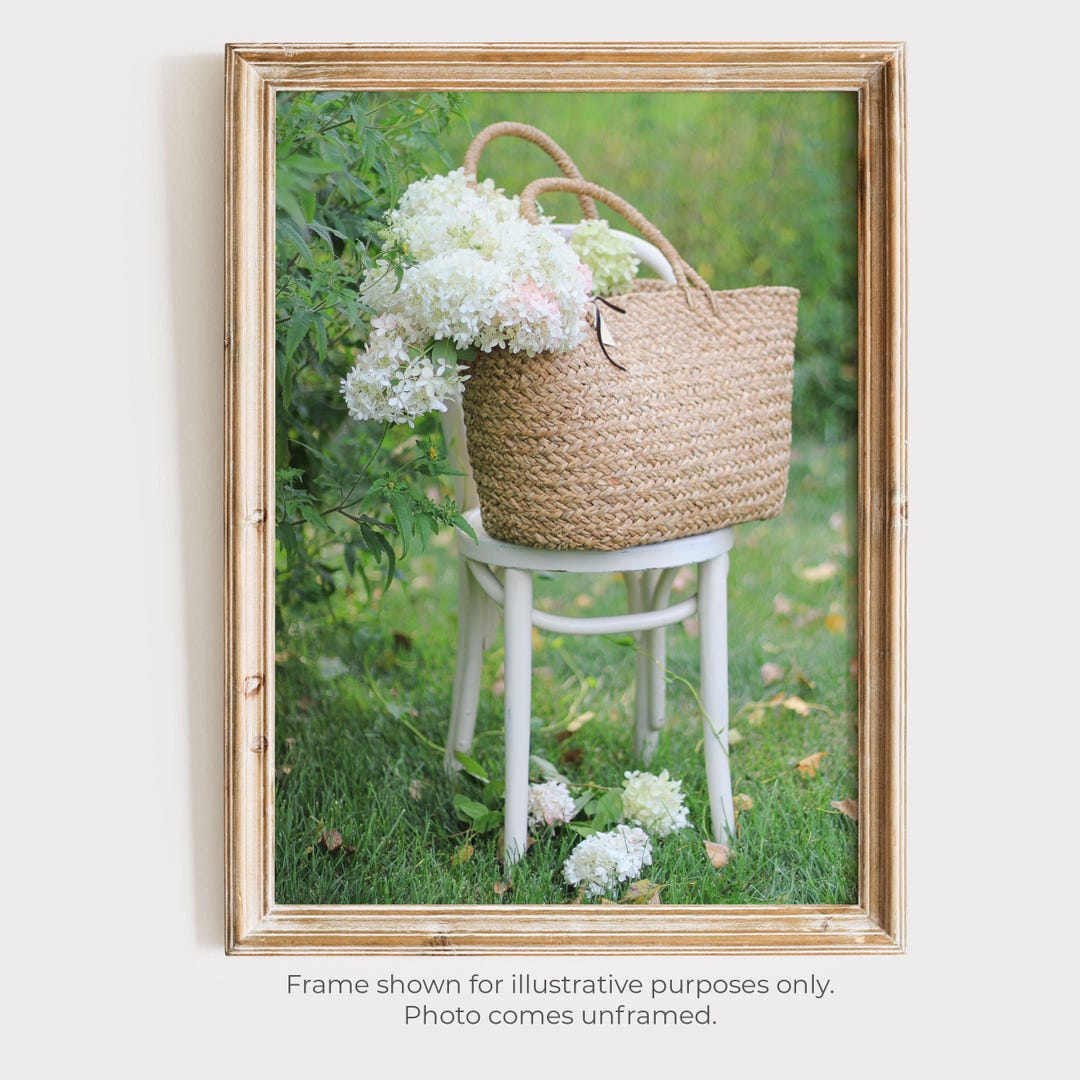 Script Flower Hydrangea Chair Hydrangea Chair | Floral Photography | Fine Art Photography Print ...