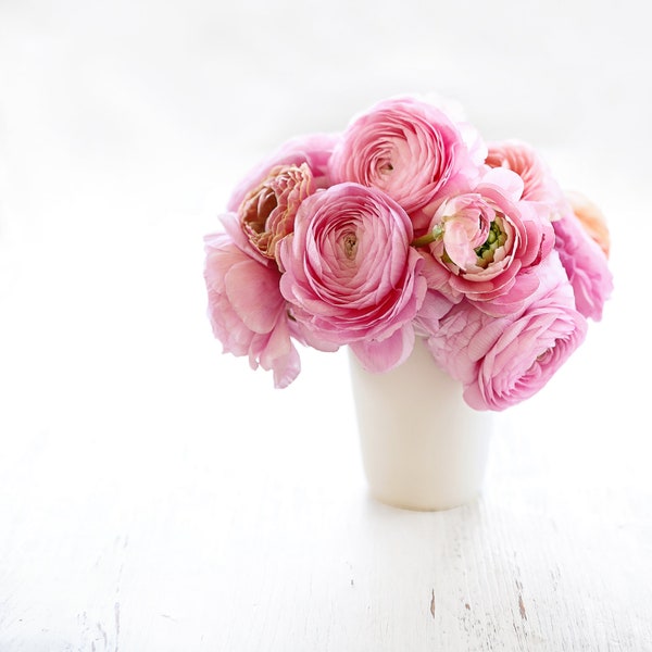 Pink Ranunculus | Floral Photography | Fine Art Photography Print | Botanical Wall Art | Home Decor