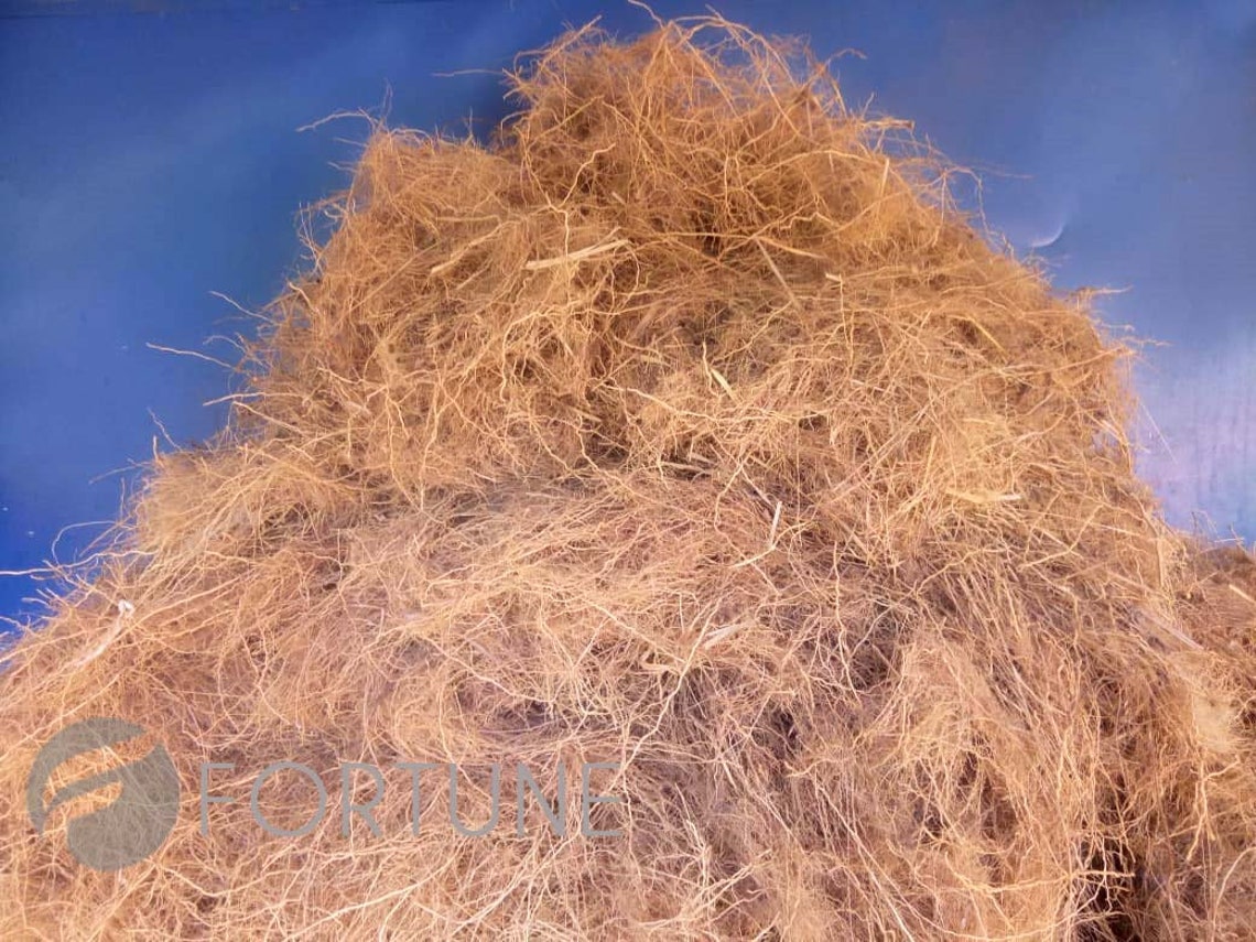 Vetiver Roots Ramachamdried VETIVER Root CUSCUS KHUS Khus Etsy