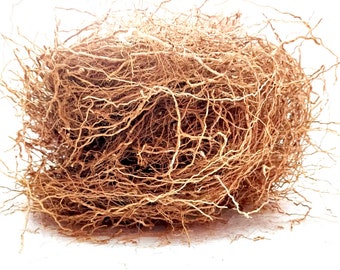 Racines de vétiver - racine de vétiver séchée au ramacham, CUSCUS, herbe KHUS Khus