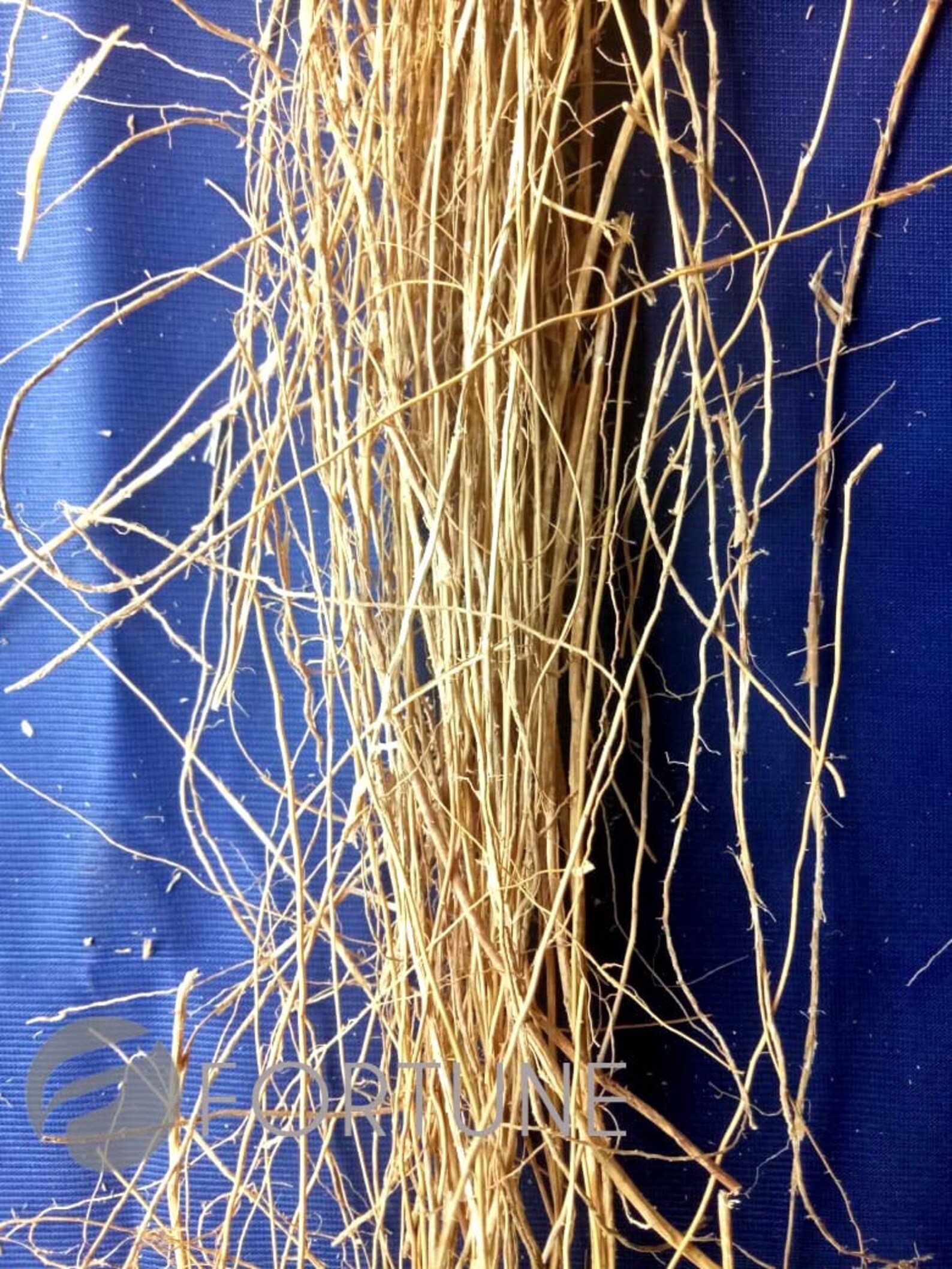 Vetiver Roots Ramachamdried VETIVER Root CUSCUS KHUS Khus Etsy