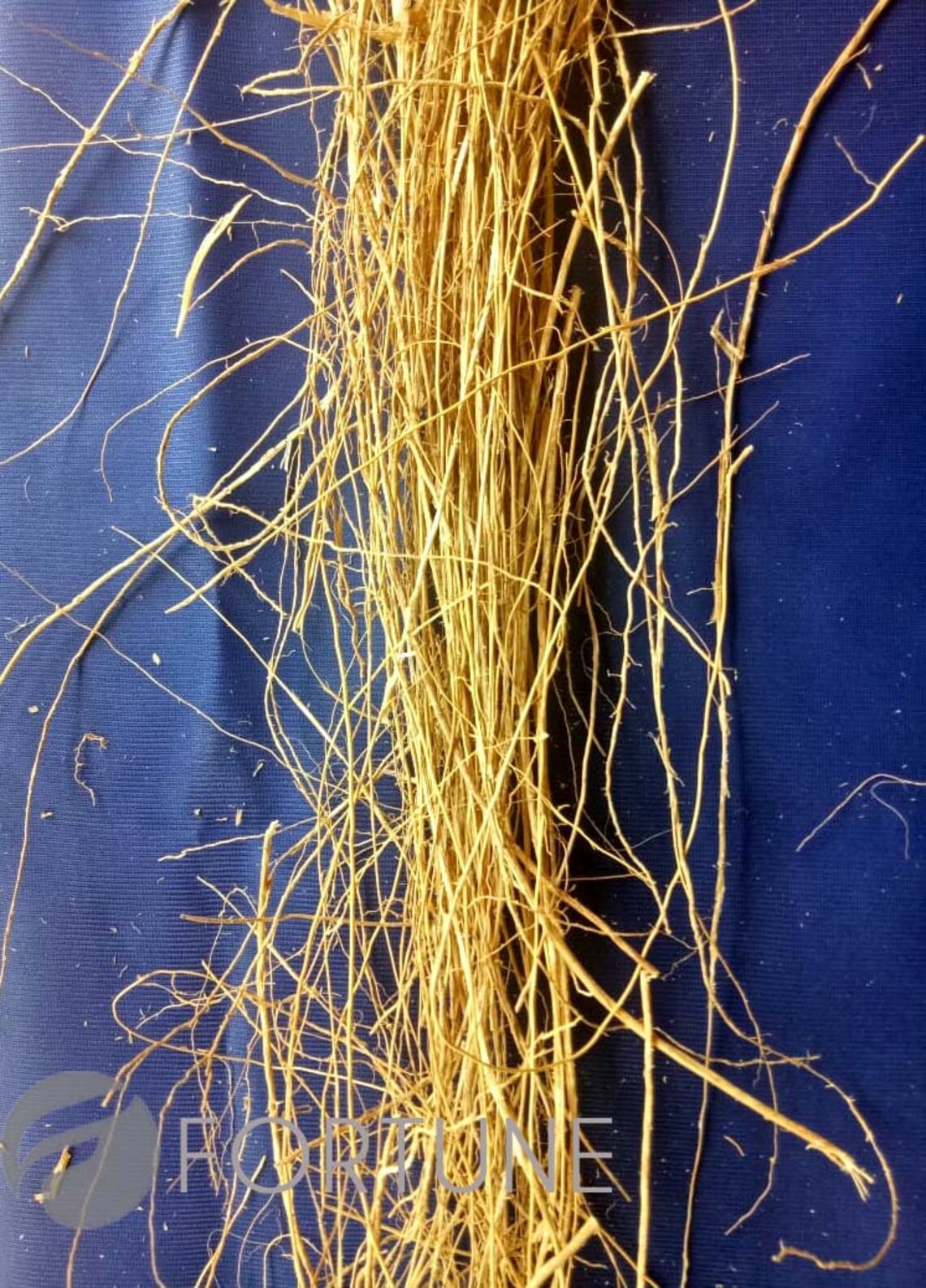 Vetiver Roots Ramachamdried VETIVER Root CUSCUS KHUS Khus Etsy