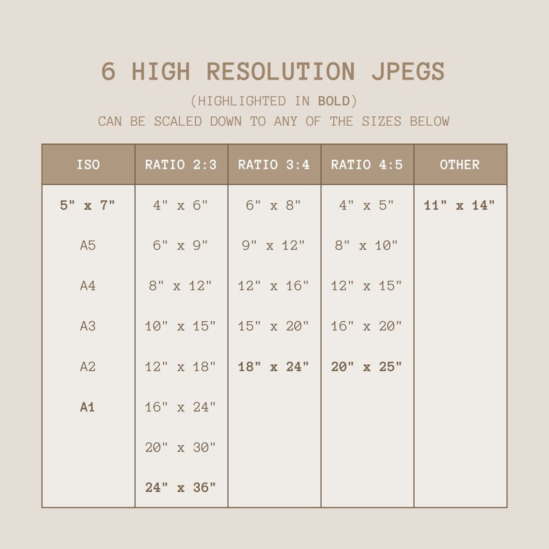 Op de afbeelding: Een tabel die verschillende beeldgroottes en beeldverhoudingen voor hoge resolutie JPEG's laat zien. De tabel bevat ISO-papierformaten, zoals A1, A2, A3, A4 en A5, samen met de bijbehorende afmetingen in inches voor elk formaat. De tabel bevat ook andere gebruikelijke beeldverhoudingen, zoals 2:3, 3:4 en 4:5, met hun bijbehorende afmetingen in inches.