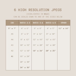 May include: A table showing different image sizes and aspect ratios for high-resolution JPEGs. The table includes ISO paper sizes, such as A1, A2, A3, A4, and A5, along with the corresponding dimensions in inches for each size. The table also includes other common aspect ratios, such as 2:3, 3:4, and 4:5, with their corresponding dimensions in inches.