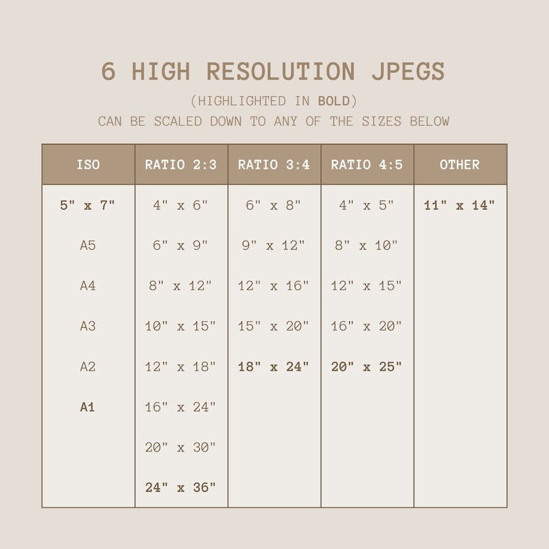 May include: A table showing different image sizes and aspect ratios for high-resolution JPEGs. The table includes ISO paper sizes, such as A1, A2, A3, A4, and A5, along with the corresponding dimensions in inches for each size. The table also includes other common aspect ratios, such as 2:3, 3:4, and 4:5, with their corresponding dimensions in inches.