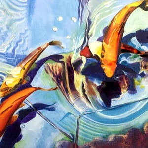 Koi Carp
