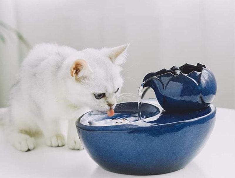 Ceramic Water Fountain Automatic Pet Drinking Fountain Etsy